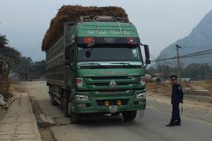 Vì sao Chánh thanh tra giao thông Thanh Hóa bị đình chỉ công tác?