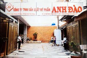 Tự ý cho thuê tài sản Nhà nước?