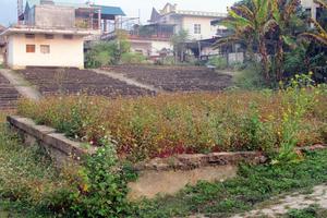 “Đất vàng” thành đất hoang