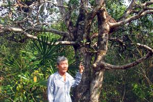 “Treo” quyền lợi của dân đến bao giờ?