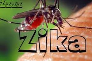 Nâng cảnh báo đối với dịch bệnh do vi rút Zika 