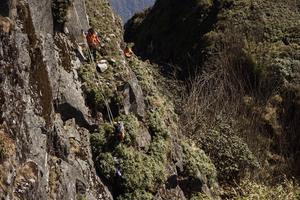 Tarzan dọn rác quanh đỉnh Fansipan