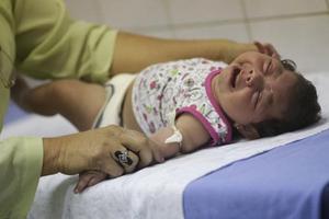 Bộ Y tế đề nghị Khánh Hòa nâng mức cảnh báo dịch Zika