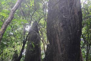 Mở rộng tham quan Khu di tích K9 đón đồng bào cả nước