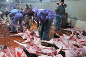 Nhức nhối an toàn thực phẩm: Bộ trưởng hứa chặn từ gốc