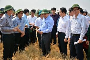 Gồng mình chống hạn