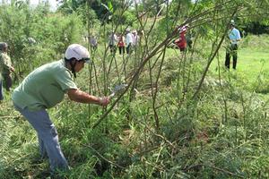 Ngăn ngừa, kiểm soát sinh vật ngoại lai xâm hại 