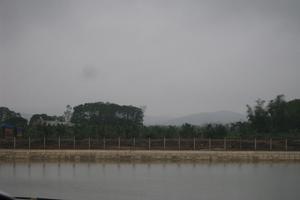 Xử phạt hành chính, dừng mọi hoạt động khai thác