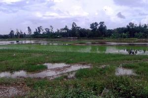 Nhiều cán bộ “dính chàm” trong quản lý đất đai