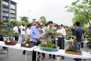 Nghỉ lễ, đi ngắm cây bạc tỷ ở Vinhomes Riverside