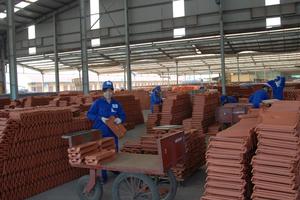 Agribank đồng hành cùng doanh nghiệp 