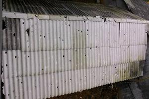 Hơn 2.000 nhà thủng mái sau mưa đá ở Tuyên Quang