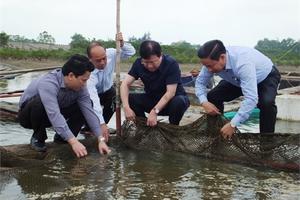 Phó thủ tướng thị sát vùng cá chết hàng loạt