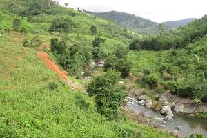 Hóa chất “bức tử ” suối Gia Ôi