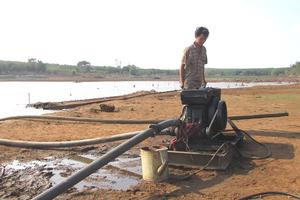 Quay cuồng vì nắng hạn