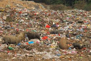 Bãi rác bủa vây khu dân cư