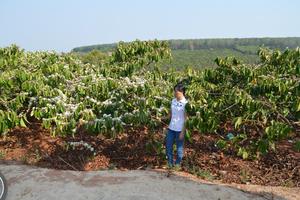 Trầy trật suốt 9 năm đi đòi đất