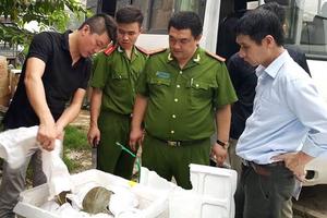 Bắt giữ xe khách hoán cải chở đầy ba ba và hàng lậu
