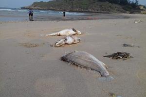 Thủ tướng Chính phủ yêu cầu Bộ Công an thu thập tài liệu chứng cứ 