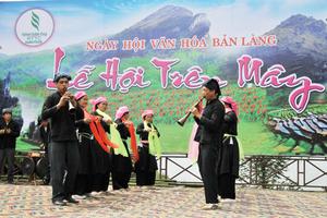 Sắc đào bên đỉnh Fansipan