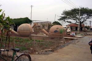 Lãnh đạo Cục Chăn nuôi chưa “chịu” kiểm điểm