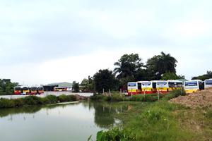 Bảo Yến Bus “xóa sổ” đất nông nghiệp làm bãi đỗ xe