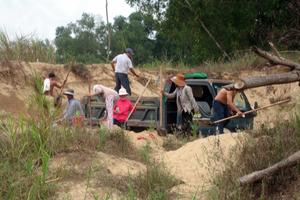 Kỳ II: Cát tặc phá nát rừng cây hơn chục năm tuổi