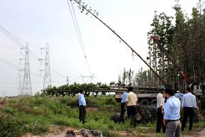 Giảm vi phạm hành lang an toàn lưới điện