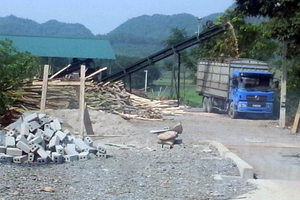  Kiểm tra, xử lý nghiêm theo quy định pháp luật