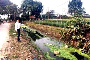  Thêm kết luận về sai phạm