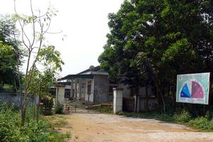 Rừng Hà Tĩnh bị phá như không có chủ !