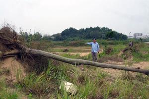 Kỳ I: Gửi đơn cầu cứu đến Bí thư Tỉnh uỷ