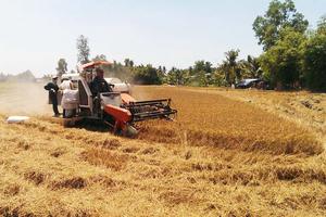 Hậu Giang: Công bố thêm 2 địa phương bị thiên tai