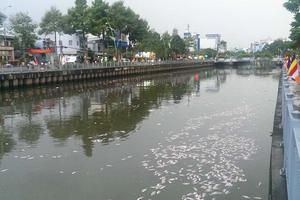 Cá chết hàng loạt trên kênh Nhiêu Lộc - Thị Nghè