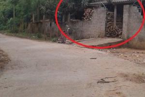 Cơn sốt “tận thu” cây  ba chạc