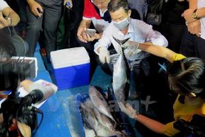 Nước thải Formosa: Kế hoạch xả ra sông Quyền, vận hành lại đổ ra biển?