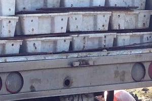 Chặn 3 tấn cá biển thối sắp đem chế biến nước mắm