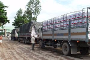 Hàng loạt cán bộ hải quan bị hai "kiều nữ" mua chuộc