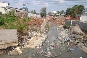 Mưa nhỏ cuốn phăng đê bê tông tiền tỷ, lộ cốt làm bằng... cây