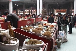 Thuốc bắc chứa vài chục loại thuốc trừ sâu