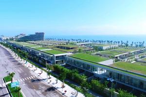“Bùn đen hóa vàng”, nhà đầu tư lãi gần tỷ đồng sau vài tháng