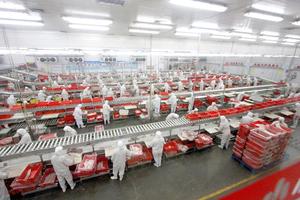 Trung Quốc bị tố "bán thịt người như thực phẩm" tại Zambia