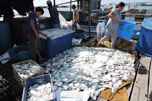 Nông dân khởi kiện 14 DN gây ô nhiễm