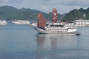 Quảng Ninh: Chấn chỉnh hoạt động tàu du lịch