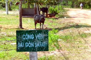TP HCM thanh tra toàn diện dự án Sài Gòn Safari