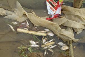 Đình chỉ hoạt động 3 doanh nghiệp xả thải ra sông Bưởi