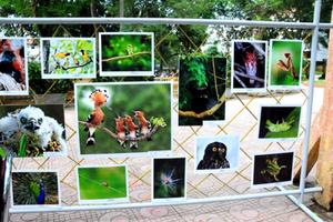 Phát động “Tháng hành động vì môi trường”