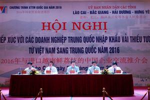 Xúc tiến tiêu thụ vải thiều với các doanh nghiệp Trung Quốc