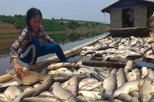 Công ty mía đường bồi thường hơn 1,4 tỷ đồng 