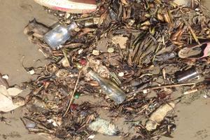 Biển Hải Hòa ngập rác